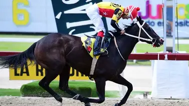 Fast Sensations mete el mejor tiempo del año para 1.200 en el Clásico Simón Rodríguez Fast Sensations mete el mejor tiempo del año para 1.200 en el Clásico Simón Rodríguez