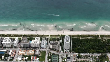 Temperaturas extremas en el mar de Florida: Desafíos y consecuencias en el Ecosistema