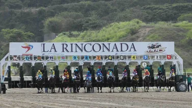 Ajuste de Fast Cat En La Rinconada gusta mucho por esta razón