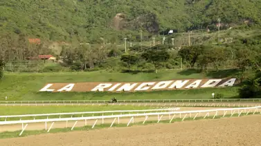 Aquí están los favoritos de la cátedra para el 5y6 Nacional de la reunión 31 en La Rinconada Aquí están los favoritos de la cátedra para el 5y6 Nacional de la reunión 31 en La Rinconada