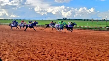 Datos de Última Hora para el Hipódromo Rancho Alegre 12-8-2023
