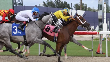 ¡Empate! Los protagonistas de este final en una carrera de Gulfstream Park fueron jinetes venezolanos