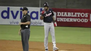 LVBP: Tigres de Aragua se mostrará potente con sus caballos desde el inicio LVBP: Tigres de Aragua se mostrará potente con sus caballos desde el inicio