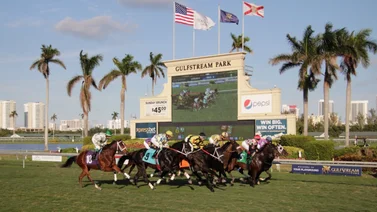 ¿Sabes cómo van las estadísticas en Gulfstream Park? Aquí te lo decimos