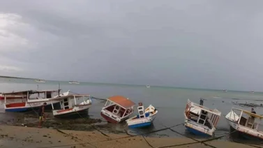 el mar desaparece antes de un tsunami