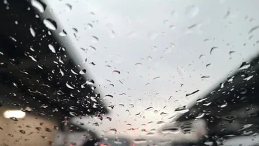 Desplazamiento de la Onda Tropical N° 31 produce lluvias en estos estados 