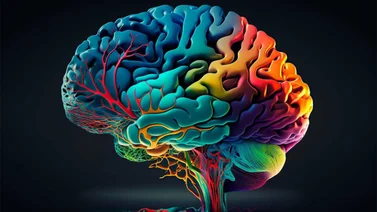 ¿Cómo podemos estimular la neurogénesis y neuroplasticidad cerebral?