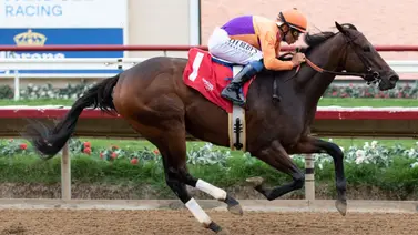 Conoce a Tamara, la hija de la campeona Beholder que causa sensación por su debut