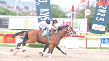  Lyndacarter reaparece para correr el Clásico Cruz del Ávila en La Rinconada