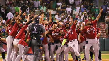 Los Gigantes del Cibao dieron a conocer su cuerpo técnico para la próxima temporada de la LIDOM