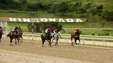 Esta es la selectiva que nació con la Gala Hípica de Caracas