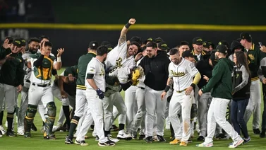 Pericos dejó en el terreno a Diablos Rojos