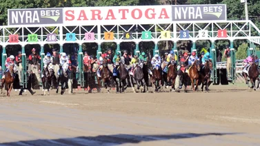 Datos de Última Hora para Saratoga 26-8-2023