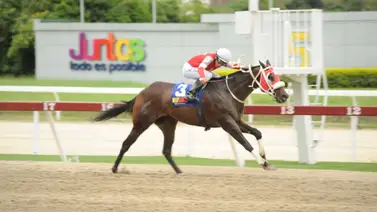 Así queda el aparatazo de este presentado de Juan Carlos García Mosquera que es favorito del 5y6 dominical Así queda el aparatazo de este presentado de Juan Carlos García Mosquera que es favorito del 5y6 dominical