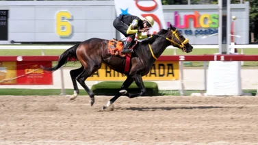 Rápido y Bravucón: Así fue el caballo que ganó el Clásico Sprinters en La Rinconada