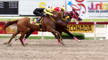 La Sensacional hace honor a su nombre con su victoria en el Clásico Sprinters Yeguas