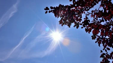 Cumaná marca su mayor temperatura del año (+Registro)