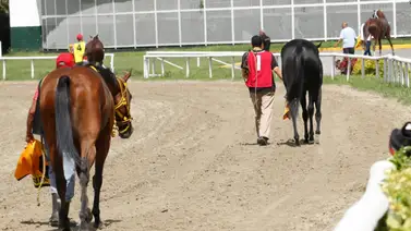 Este es el primer retirado de la reunión 29 de carreras en La Rinconada Este es el primer retirado de la reunión 29 de carreras en La Rinconada