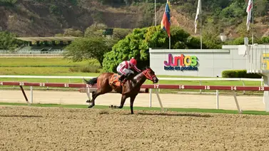 Potro que anda en el aire ajusta bien y puede ser la línea en el clásico “My Own Business” Potro que anda en el aire ajusta bien y puede ser la línea en el clásico “My Own Business”