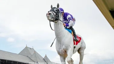 Junior Alvarado da la cara por Venezuela este miércoles en Saratoga