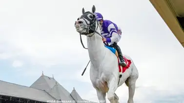Junior Alvarado da la cara por Venezuela este miércoles en Saratoga Junior Alvarado da la cara por Venezuela este miércoles en Saratoga