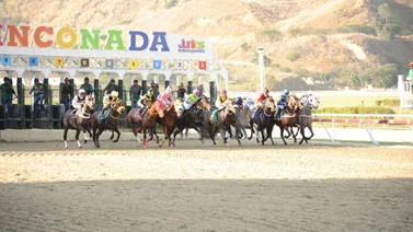 Así como ajustó este caballo puede sorprender a uno de los fijos de la reunión 29