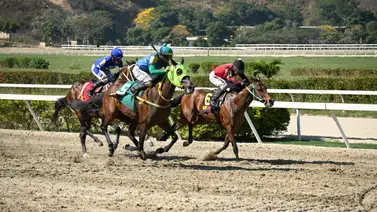 Potro que no tuvo un buen debut ajusta bien para su segunda presentación Potro que no tuvo un buen debut ajusta bien para su segunda presentación