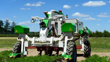 Estados Unidos ofrece sueldos de $2,900 dólares al mes a trabajadores mexicanos sin estudios Estados Unidos ofrece sueldos de $2,900 dólares al mes a trabajadores mexicanos sin estudios