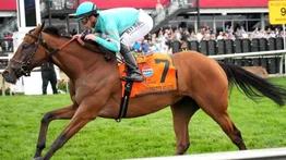Conoce la razón por la cual Irad Ortiz Jr fue descalificado en Saratoga