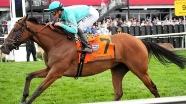 Conoce la razón por la cual Irad Ortiz Jr fue descalificado en Saratoga