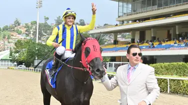 Riccardo D’Angelo es el nuevo entrenador de este reconocido Stud en La Rinconada Riccardo D’Angelo es el nuevo entrenador de este reconocido Stud en La Rinconada