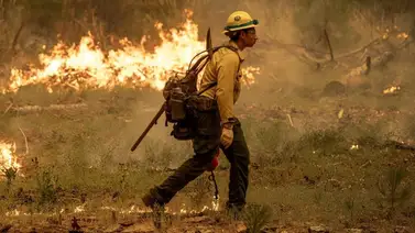 Hombre de California es acusado por causar el incendio forestal más grande de Estados Unidos Hombre de California es acusado por causar el incendio forestal más grande de Estados Unidos