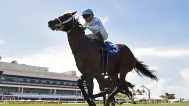 Entrenador venezolano que hizo carrera en La Rinconada es nominado a premio en Estados Unidos Entrenador venezolano que hizo carrera en La Rinconada es nominado a premio en Estados Unidos