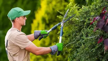 EEUU: ¿No tienes papeles legales? Entonces puedes optar a estos trabajos en Homestead EEUU: ¿No tienes papeles legales? Entonces puedes optar a estos trabajos en Homestead