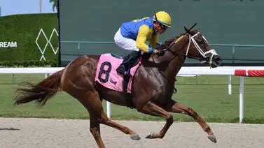 Emisael Jaramillo con racha de victorias en días seguidos en distintos hipódromos Emisael Jaramillo con racha de victorias en días seguidos en distintos hipódromos