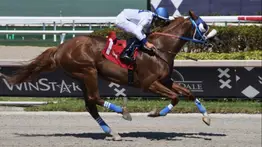 Retirado por entrenador venezolano participante en el Whitney S.(G1) de Saratoga y esta es la razón