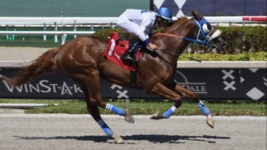 Retirado por entrenador venezolano participante en el Whitney S.(G1) de Saratoga y esta es la razón