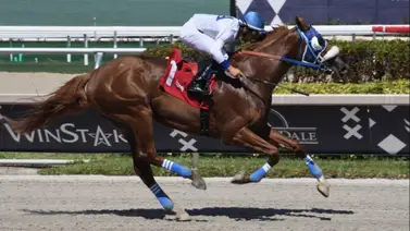 Retirado por entrenador venezolano participante en el Whitney S.(G1) de Saratoga y esta es la razón Retirado por entrenador venezolano participante en el Whitney S.(G1) de Saratoga y esta es la razón