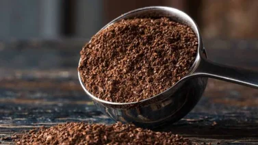 ¿Cómo puedes reutilizar el cafe molido para la vida diaria?