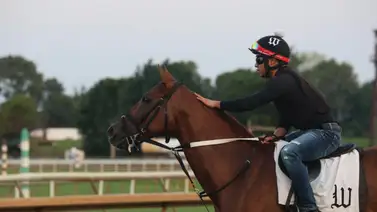 Yegua ganadora de 12 Stakes en Estados Unidos fue sacrificada por una lesión Yegua ganadora de 12 Stakes en Estados Unidos fue sacrificada por una lesión
