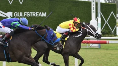 Así quedaron los resultados de las carreras Gulfstream Park 03-08-2024