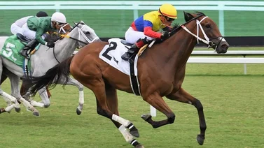 Yunta Venezolana logra dos Stakes en Gulfstream Park 