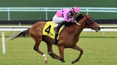 Leonel Reyes Ramos abre con triunfo la jornada sabatina en Gulfstream Park