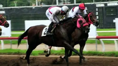 Entrenador venezolano Mario Estevez gana primer clásico clasificatorio en Panamá para Serie Hípica del Caribe Entrenador venezolano Mario Estevez gana primer clásico clasificatorio en Panamá para Serie Hípica del Caribe