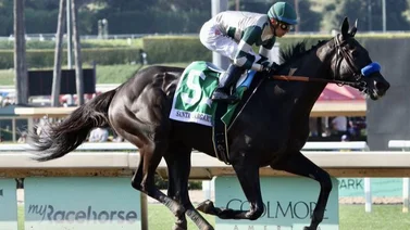 Yegua clásica que entrena Bob Baffert va por los machos en Estados Unidos