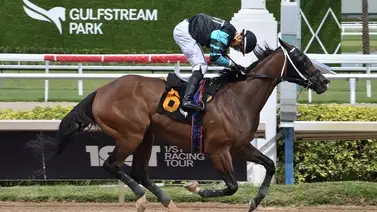 Jockey venezolano gana su primera carrera del año en Gulfstream Park Jockey venezolano gana su primera carrera del año en Gulfstream Park