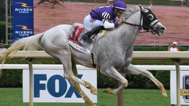 Mira cuánto dinero ganó Junior Alvarado el fin de semana con los Stakes que obtuvo
