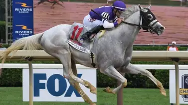 Mira cuánto dinero ganó Junior Alvarado el fin de semana con los Stakes que obtuvo Mira cuánto dinero ganó Junior Alvarado el fin de semana con los Stakes que obtuvo