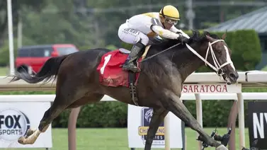 Conoce la increíble marca que logró el caballo de Gustavo Delgado que costó $1.300.000 Conoce la increíble marca que logró el caballo de Gustavo Delgado que costó $1.300.000