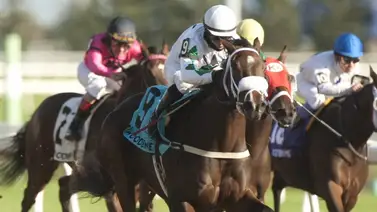 7 stakes con $2.500.000 por repartir esta semana en este meeting de Estados Unidos 7 stakes con $2.500.000 por repartir esta semana en este meeting de Estados Unidos